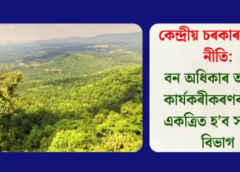 কেন্দ্ৰীয় চৰকাৰৰ নতুন নীতি: বন অধিকাৰ আইনৰ কাৰ্যকৰীকৰণৰ বাবে একত্ৰিত হ’ব সকলো বিভাগ