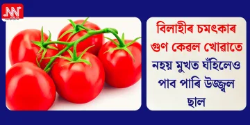 বিলাহীৰ চমৎকাৰ গুণ কেৱল খোৱাতে নহয় মুখত ঘঁহিলেও পাব পাৰি উজ্জ্বল ছাল