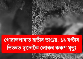 গোৱালপাৰাত হাতীৰ তাণ্ডৱ: ১২ ঘণ্টাৰ ভিতৰত দুজনকৈ লোকৰ কৰুণ মৃত্যু