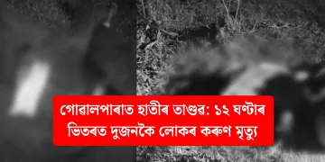 গোৱালপাৰাত হাতীৰ তাণ্ডৱ: ১২ ঘণ্টাৰ ভিতৰত দুজনকৈ লোকৰ কৰুণ মৃত্যু