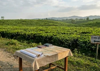 চাহ শ্ৰমিকক মাটিৰ পট্টা প্ৰদানৰ প্ৰক্ৰিয়াক লৈ উদ্বিগ্নতা: ভূমি হস্তান্তৰ নীতি স্পষ্ট কৰাৰ দাবী টি এছ’চিয়েশ্যন অৱ ইণ্ডিয়াৰ