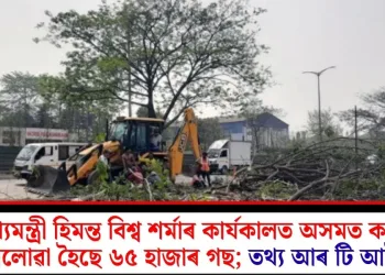মুখ্যমন্ত্ৰী হিমন্ত বিশ্ব শৰ্মাৰ কাৰ্যকালত অসমত কাটি পেলোৱা হৈছে ৬৫ হাজাৰ গছ; তথ্য আৰ টি আইৰ