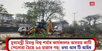মুখ্যমন্ত্ৰী হিমন্ত বিশ্ব শৰ্মাৰ কাৰ্যকালত অসমত কাটি পেলোৱা হৈছে ৬৫ হাজাৰ গছ; তথ্য আৰ টি আইৰ
