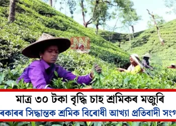 মাত্ৰ ৩০ টকা বৃদ্ধি চাহ শ্ৰমিকৰ মজুৰি: চৰকাৰৰ সিদ্ধান্তক শ্ৰমিক বিৰোধী আখ্যা প্ৰতিবাদী সংগঠনৰ