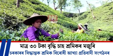 মাত্ৰ ৩০ টকা বৃদ্ধি চাহ শ্ৰমিকৰ মজুৰি: চৰকাৰৰ সিদ্ধান্তক শ্ৰমিক বিৰোধী আখ্যা প্ৰতিবাদী সংগঠনৰ