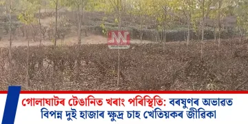 গোলাঘাটৰ টেঙানিত খৰাং পৰিস্থিতি: বৰষুণৰ অভাৱত বিপন্ন দুই হাজাৰ ক্ষুদ্ৰ চাহ খেতিয়কৰ জীৱিকা