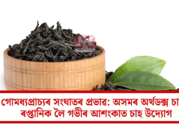 মধ্যপ্ৰাচ্যৰ সংঘাতৰ প্ৰভাৱ: অসমৰ অৰ্থডক্স চাহৰ ৰপ্তানিক লৈ গভীৰ আশংকাত চাহ উদ্যোগ