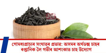 মধ্যপ্ৰাচ্যৰ সংঘাতৰ প্ৰভাৱ: অসমৰ অৰ্থডক্স চাহৰ ৰপ্তানিক লৈ গভীৰ আশংকাত চাহ উদ্যোগ