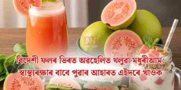 বিদেশী ফলৰ ভিৰত অৱহেলিত থলুৱা মধুৰীআম: স্বাস্থ্যৰক্ষাৰ বাবে পুৱাৰ আহাৰত এইদৰে খাওক
