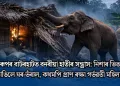 কামৰূপৰ বাটৰহাটত বনৰীয়া হাতীৰ সন্ত্ৰাস: নিশাৰ ভিতৰতে ভাঙিলে ঘৰ-ভঁৰাল, কথমপি প্ৰাণ ৰক্ষা গৰ্ভৱতী মহিলা