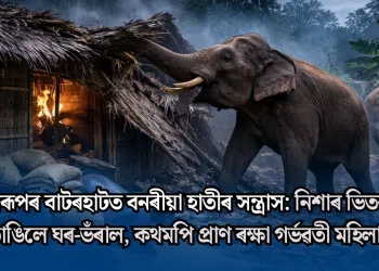 কামৰূপৰ বাটৰহাটত বনৰীয়া হাতীৰ সন্ত্ৰাস: নিশাৰ ভিতৰতে ভাঙিলে ঘৰ-ভঁৰাল, কথমপি প্ৰাণ ৰক্ষা গৰ্ভৱতী মহিলা