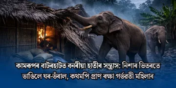 কামৰূপৰ বাটৰহাটত বনৰীয়া হাতীৰ সন্ত্ৰাস: নিশাৰ ভিতৰতে ভাঙিলে ঘৰ-ভঁৰাল, কথমপি প্ৰাণ ৰক্ষা গৰ্ভৱতী মহিলা