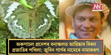 অৰুণাচল প্ৰদেশৰ বনাঞ্চলত আৱিষ্কাৰ বিৰল প্ৰজাতিৰ পখিলা; জুবিন গাৰ্গৰ নামেৰে নামাকৰণ