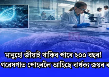 মানুহো জীয়াই থাকিব পাৰে ২০০ বছৰ! এক গৱেষণাত পোহৰলৈ আহিছে বাৰ্ধক্য জয়ৰ ৰহস্য