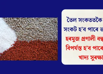 তৈল সংকততকৈ সাৰৰ সংকট হ’ব পাৰে ভয়ংকৰ: হৰমুজ প্ৰণালী বন্ধ হ’লে বিপৰ্যস্ত হ’ব পাৰে বিশ্বৰ খাদ্য সুৰক্ষা