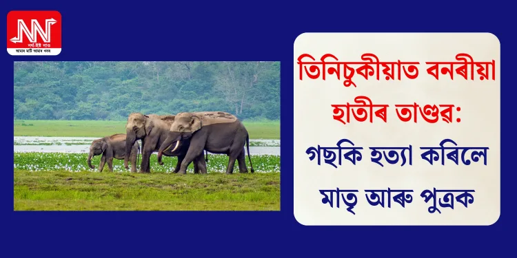 প্ৰতিনিধিত্বমূলক ফটো