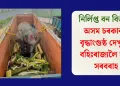 নিৰ্লিপ্ত বন বিভাগ! অসম চৰকাৰক বৃদ্ধাংগুষ্ঠ দেখুৱাই বহিঃৰাজ্যলৈ হাতী সৰবৰাহ