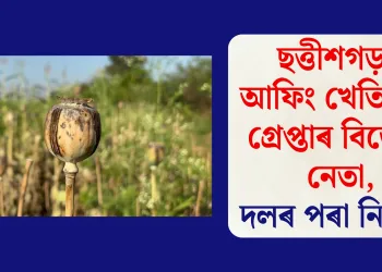 ছত্তীশগড়ত আফিং খেতি কৰি গ্ৰেপ্তাৰ বিজেপি নেতা, দলৰ পৰা নিলম্বন