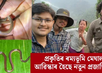 প্ৰকৃতিৰ ৰম্যভূমি মেঘালয়ত আৱিস্কাৰ হৈছে নতুন প্ৰজাতিৰ সাপ
