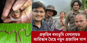প্ৰকৃতিৰ ৰম্যভূমি মেঘালয়ত আৱিস্কাৰ হৈছে নতুন প্ৰজাতিৰ সাপ
