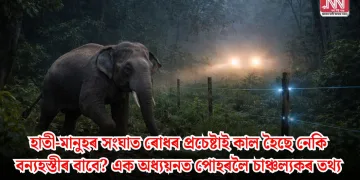 হাতী-মানুহৰ সংঘাত ৰোধৰ প্ৰচেষ্টাই কাল হৈছে নেকি বন্যহস্তীৰ বাবে? এক অধ্যয়নত পোহৰলৈ চাঞ্চল্যকৰ তথ্য