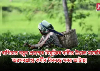 চাহ বাগিচাত নতুন প্ৰজন্মৰ নিযুক্তিৰ দাবীত উত্তাল মাৰ্ঘেৰিটা: অৱসৰপ্ৰাপ্ত কৰ্মীৰ বিৰুদ্ধে সৰৱ আটাছা