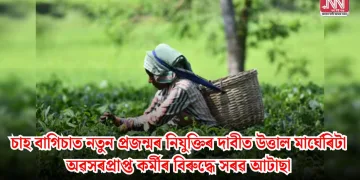চাহ বাগিচাত নতুন প্ৰজন্মৰ নিযুক্তিৰ দাবীত উত্তাল মাৰ্ঘেৰিটা: অৱসৰপ্ৰাপ্ত কৰ্মীৰ বিৰুদ্ধে সৰৱ আটাছা