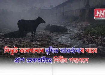 বিস্কুট কাৰখানাৰ দূষিত আৱৰ্জনাৰ বাবে প্ৰাণ হেৰুৱাইছে নিৰীহ পশুধনে