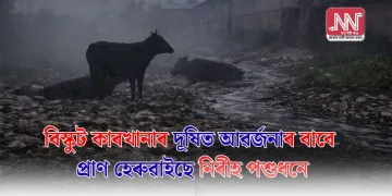 বিস্কুট কাৰখানাৰ দূষিত আৱৰ্জনাৰ বাবে প্ৰাণ হেৰুৱাইছে নিৰীহ পশুধনে
