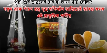 পুৱা শুই উঠিয়েই চাহ বা কফি খায় নেকি? যকৃৎ আৰু পাচন তন্ত্ৰ সুস্থ ৰাখিবলৈ আজিয়েই আৰম্ভ কৰক এই প্ৰাকৃতিক পানীয়