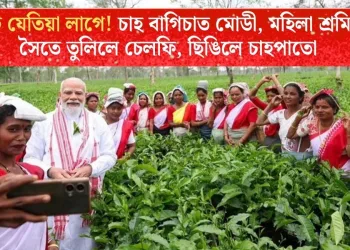 ভোট যেতিয়া লাগে! চাহ বাগিচাত মোডী, মহিলা শ্ৰমিকৰ সৈতে তুলিলে চেলফি, ছিঙিলে চাহপাতো