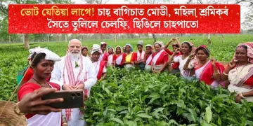 ভোট যেতিয়া লাগে! চাহ বাগিচাত মোডী, মহিলা শ্ৰমিকৰ সৈতে তুলিলে চেলফি, ছিঙিলে চাহপাতো