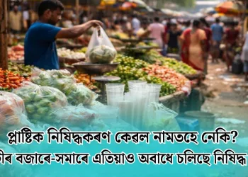 প্লাষ্টিক নিষিদ্ধকৰণ কেৱল নামতহে নেকি? গুৱাহাটীৰ বজাৰে-সমাৰে এতিয়াও অবাধে চলিছে নিষিদ্ধ প্লাষ্টিক!