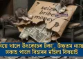 ‘নিগনিয়ে খালে উৎকোচৰ টকা’, উচ্চতম ন্যায়ালয়ত সকাহ পালে বিহাৰৰ মহিলা বিষয়াই