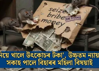 ‘নিগনিয়ে খালে উৎকোচৰ টকা’, উচ্চতম ন্যায়ালয়ত সকাহ পালে বিহাৰৰ মহিলা বিষয়াই