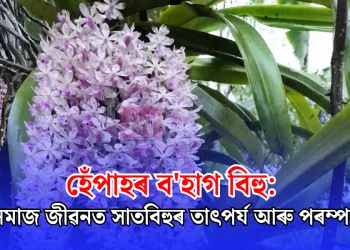 হেঁপাহৰ ব’হাগ বিহু: অসমীয়া সমাজ জীৱনত সাতবিহুৰ তাৎপৰ্য আৰু পৰম্পৰা