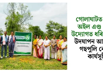 গোলাঘাটত কেইৰ্ণ অইল এণ্ড গেছৰ উদ্যোগত ধৰিত্ৰী দিৱস উদযাপন আৰু বৃহৎ গছপুলি ৰোপণ কাৰ্যসূচী