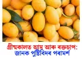 গ্ৰীষ্মকালত আম আৰু ৰক্তচাপ: জানক পুষ্টিবিদৰ পৰামৰ্শ
