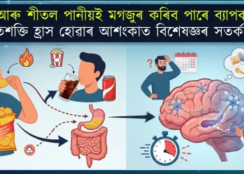 চিপছ আৰু শীতল পানীয়ই মগজুৰ কৰিব পাৰে ব্যাপক ক্ষতি, স্মৃতিশক্তি হ্ৰাস হোৱাৰ আশংকাত বিশেষজ্ঞৰ সতৰ্কবাণী