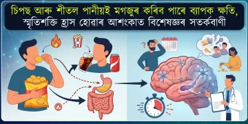 চিপছ আৰু শীতল পানীয়ই মগজুৰ কৰিব পাৰে ব্যাপক ক্ষতি, স্মৃতিশক্তি হ্ৰাস হোৱাৰ আশংকাত বিশেষজ্ঞৰ সতৰ্কবাণী