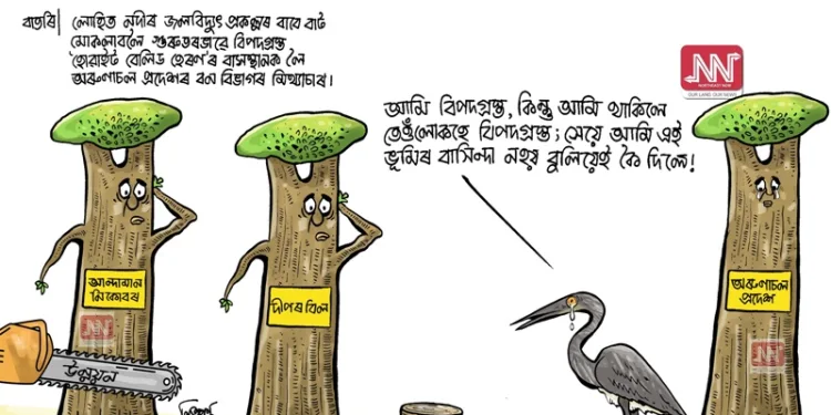 cartoon by Nituparna Rajbongshi. www.cartoonistnituparna.org