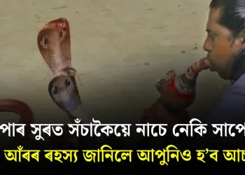 পেঁপাৰ সুৰত সঁচাকৈয়ে নাচে নেকি সাপে? ইয়াৰ আঁৰৰ ৰহস্য জানিলে আপুনিও হ’ব আচৰিত