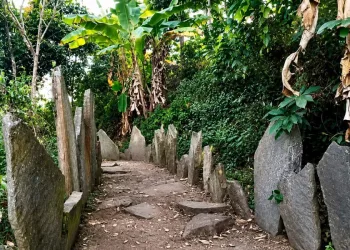 মিজোৰামৰ প্ৰাচীন ইতিহাসৰ নতুন অধ্যায়: পোহৰলৈ আহিল হেজাৰ বছৰ পুৰণি মানৱ বসতিৰ নিদৰ্শন!