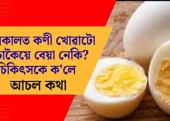 গ্ৰীষ্মকালত কণী খোৱাটো সঁচাকৈয়ে বেয়া নেকি? চিকিৎসকে ক’লে আচল কথা