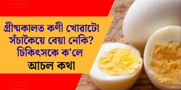 গ্ৰীষ্মকালত কণী খোৱাটো সঁচাকৈয়ে বেয়া নেকি? চিকিৎসকে ক’লে আচল কথা