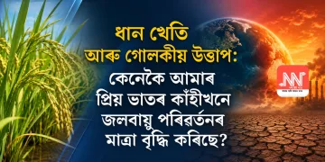 ধান খেতি আৰু গোলকীয় উত্তাপ: কেনেকৈ আমাৰ প্ৰিয় ভাতৰ কাঁহীখনে জলবায়ু পৰিৱৰ্তনৰ মাত্ৰা বৃদ্ধি কৰিছে?
