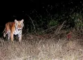 দুটা দশকৰ দীৰ্ঘ অপেক্ষাৰ অন্তত অৰুণাচল প্ৰদেশৰ অভয়াৰণ্যত দেখা গ’ল ঢেকীয়াপতীয়া!
