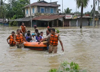 বানৰ কৱলত ৰাজ্যৰ কেইবাখনো জিলা! ২৩ হাজাৰ লোক বিপৰ্যস্ত, ২০ খন জিলালৈ হাই-এলাৰ্ট