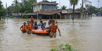 বানৰ কৱলত ৰাজ্যৰ কেইবাখনো জিলা! ২৩ হাজাৰ লোক বিপৰ্যস্ত, ২০ খন জিলালৈ হাই-এলাৰ্ট