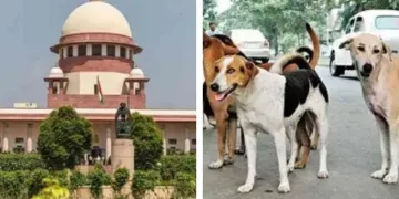 মানুহৰ বাবে বিপজ্জনক! বলীয়া কুকুৰক হত্যা কৰাৰ অনুমতিকে ধৰি কি কি নিৰ্দেশ দিলে উচ্চতম ন্যায়ালয়ে?